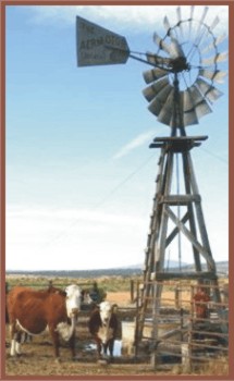 Windmill at the Poplars Ranch